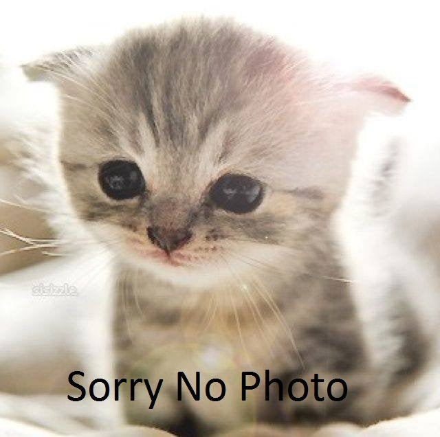 Kadee HO #8012 SLSF 2-Bay Covered Hopper Road #84084