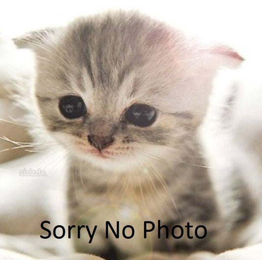 Kadee HO #8012 SLSF 2-Bay Covered Hopper Road #84084